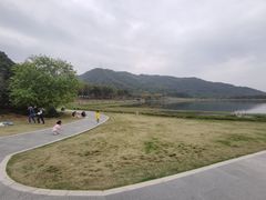 -艾米稻香小镇