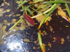 -石灰市毛记烧鸡公(解放碑店)