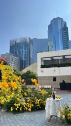 -北京嘉里大酒店·宴会厅婚宴·户外婚礼·生日宴