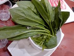 菠菜-祥记顺成小火锅(香坊店)