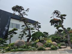 -罗红摄影艺术馆