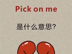 -JT PREP国际学科课程·IB·AP·Alevel(陆家嘴校区)