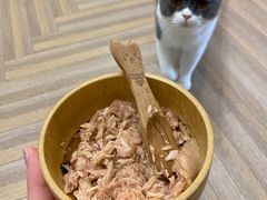 -酷豆宠物咖啡·宠物美食·撸猫馆