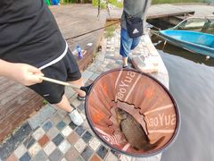 -酷鱼垂钓CLUB(朝阳区博大路店 )