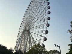 -凤岭儿童公园
