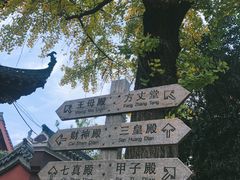-长春观