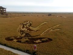 稻田画-红海滩国家风景廊道
