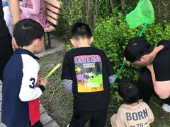 -吴淞炮台湾湿地森林公园烧烤区