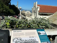 -阿尔卡特拉斯岛