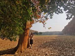 -河南省黄河迎宾馆