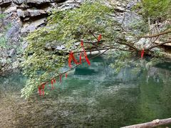 -九龙潭景区