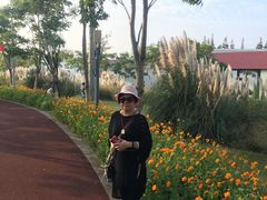 -上海长兴岛郊野公园