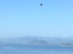 iphone_upload_pic-绿城千岛湖喜来登度假酒店
