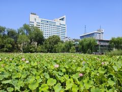 -莲湖公园