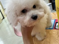 -宠颐生宠物医院·心肾内科·猫专科诊疗中心宠巢店