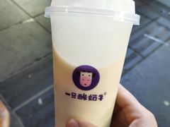 -一只酸奶牛(八一路店)