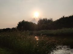 -大兴滨河森林公园