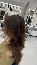 -蚂蚁造型俱乐部