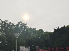 -上海市龙华烈士陵园