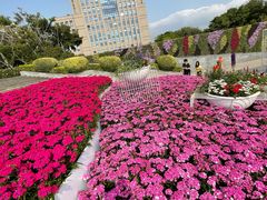 -深圳国际园林花卉博览园