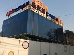 -维尔纳斯·生日蛋糕·动物奶油冰淇淋蛋糕(六里桥店)
