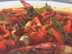 -杨氏青龙虾·羊蝎子(托乐嘉店)