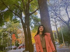 -三里屯东五街银杏大道
