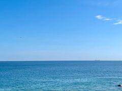 -广东惠东海龟国家级自然保护区