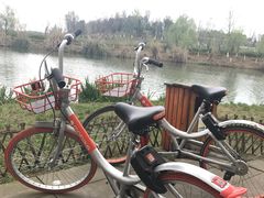 -白鹭湾湿地公园