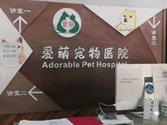 -美联众合宠物医院·爱萌分院·内外科·猫科中心