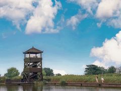 -盐城丹顶鹤湿地生态旅游区