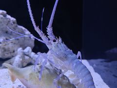 -海合安天津极地海洋公园