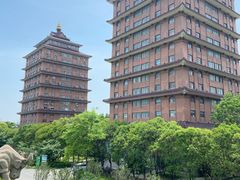 -华西村