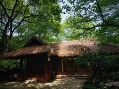 -中国茶叶博物馆(双峰馆区)
