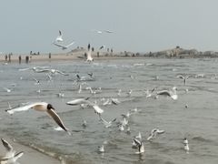 -老虎石海上公园