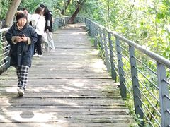 -月湖风景区
