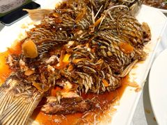 罾蹦鲤鱼-桂园餐厅(五大道店)
