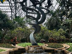 -南山植物园