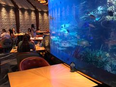 -迪拜帆船酒店海底餐厅