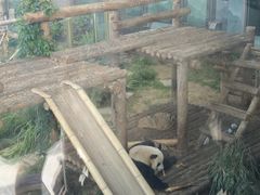 -大连森林动物园