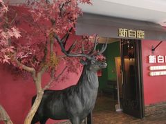 -新白鹿餐厅(银泰西湖文化广场店)