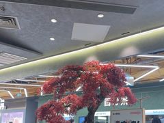 -苏小柳点心·手作小笼包(新街口分院店)
