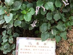 -嬉乐湾休闲旅游区