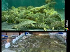 -欧记·龙城港(欣都店)