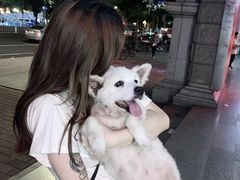 -彩虹桥宠物火化殡葬善终服务(金乐大厦店)