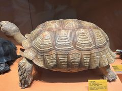 -天津自然博物馆