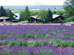 -富田农场