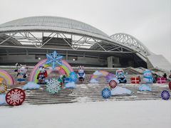 -沈阳奥体冰雪嘉年华
