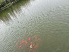 -燕郊植物园