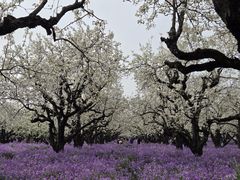 -江苏三台山国家森林公园